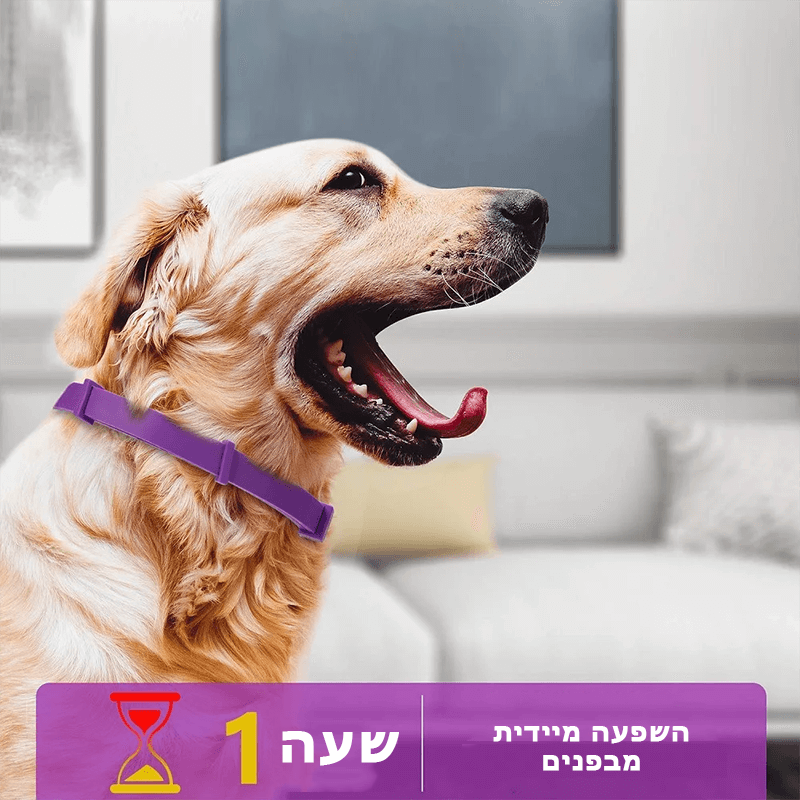 PurrRelief™ | קולר להרגעת חרדה