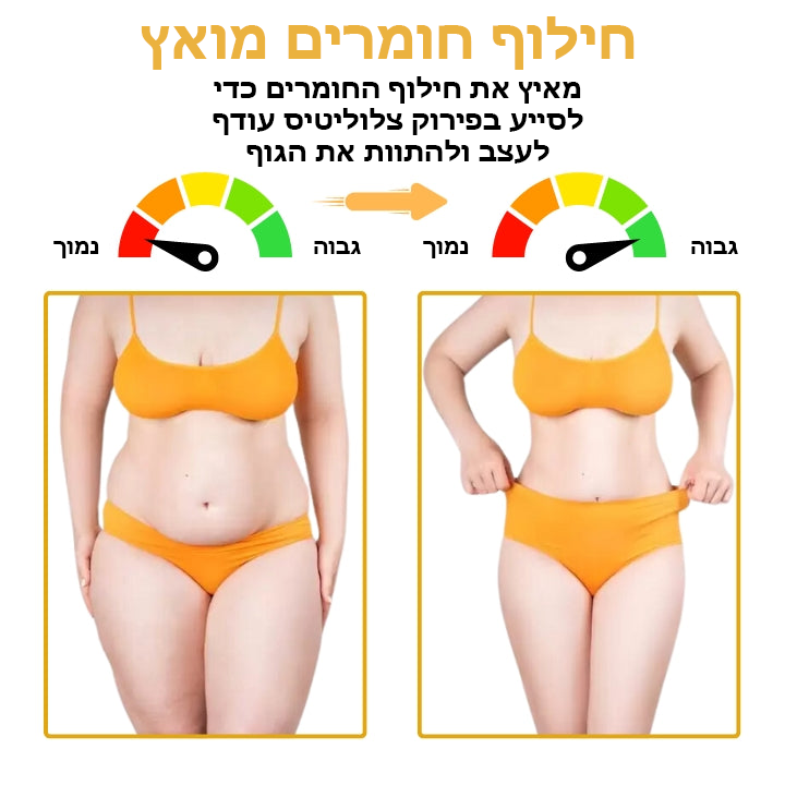 BeeShaper™ | שמן פיסול בטבור עם ארס דבורים