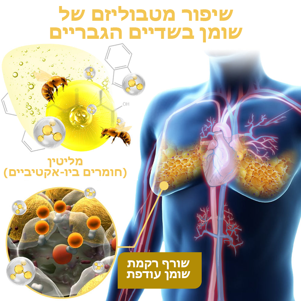 AlphaChest™ | שמן חימום עם ארס דבורים למניעת גינקומסטיה