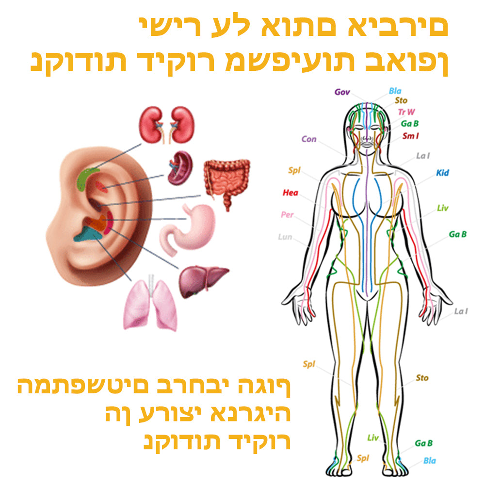 PurifyPearls™ | עגילי תרפיית מגנט לימפטית
