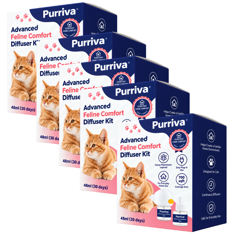 Purriva