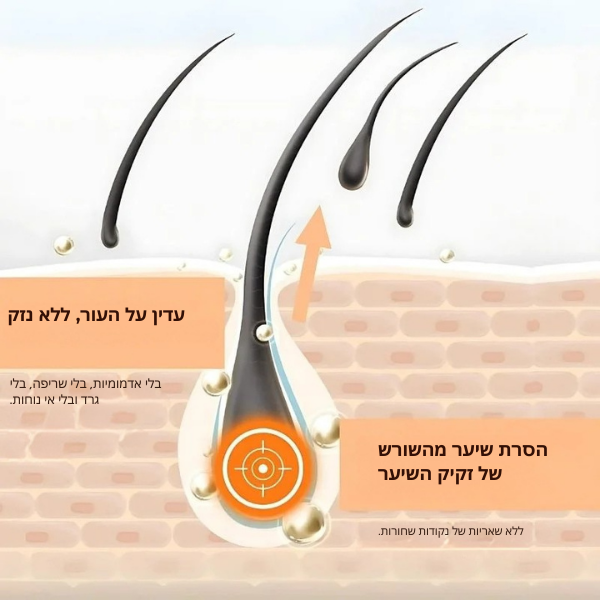 LuxeSilk™ | עצרי 97% מצמיחת השיער ההורמונלית מהשורש תוך 4 ימים בלבד!