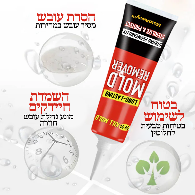 MoldAway | היפטרו מכל העובש והטחב לתמיד באופן מיידי!