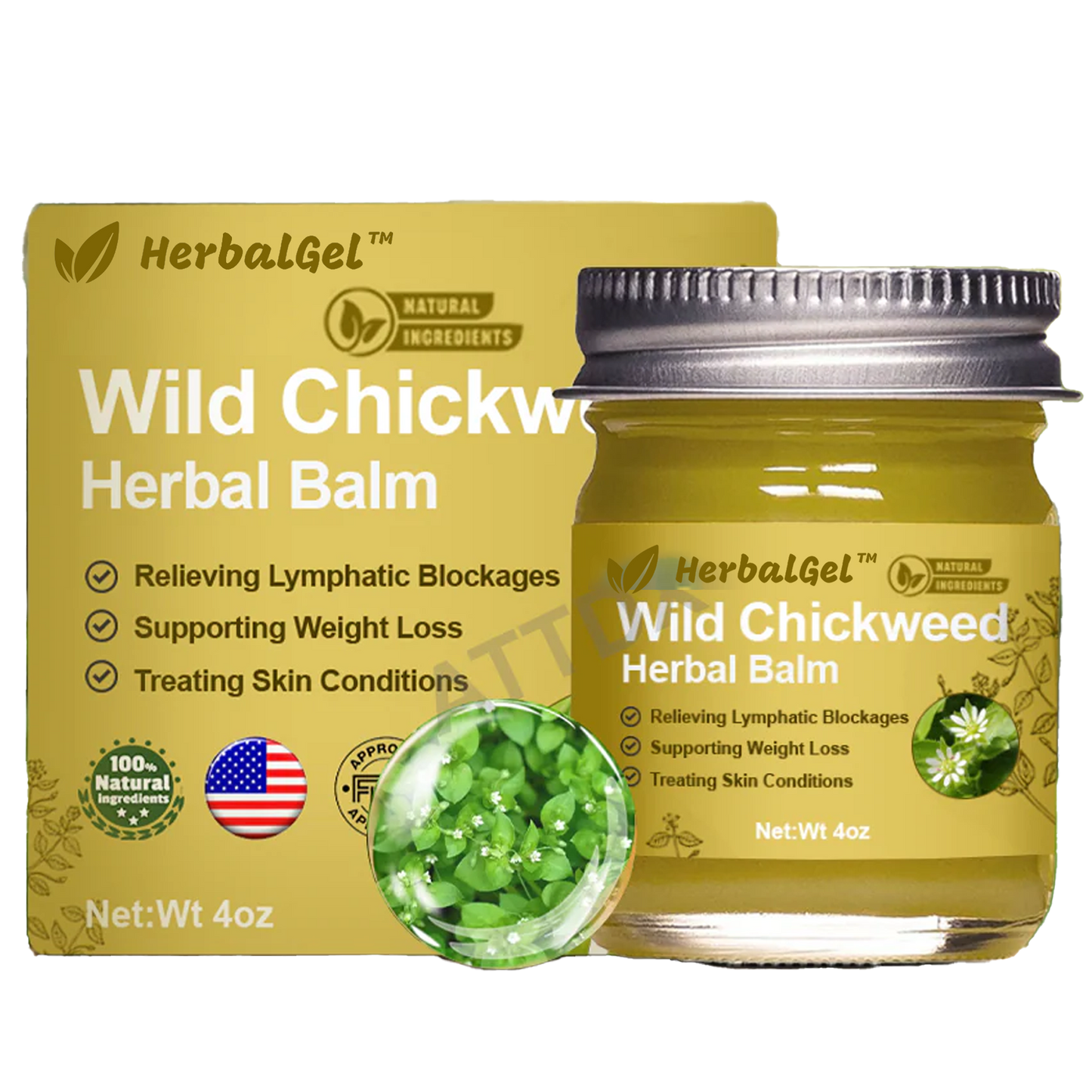 HerbalGel™ | משחת תיקון עור מצמח הכוכבית