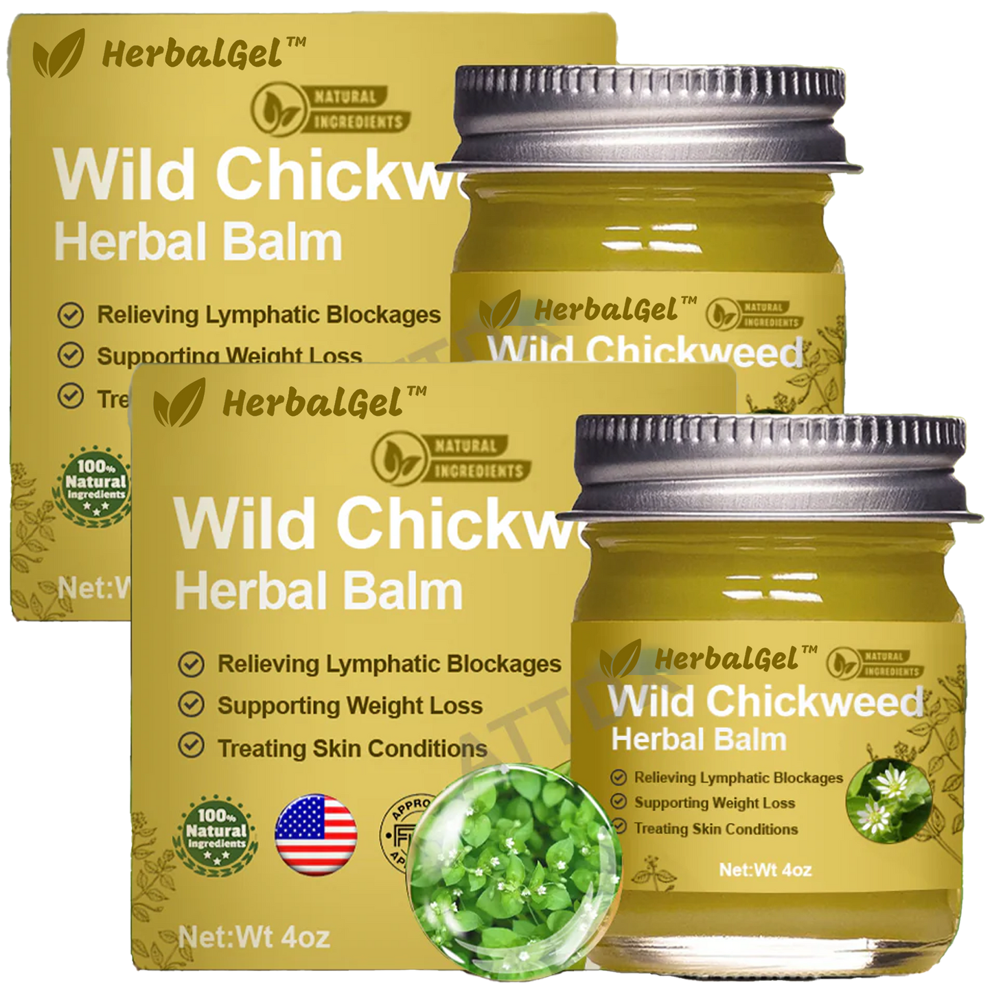 HerbalGel™ | משחת תיקון עור מצמח הכוכבית