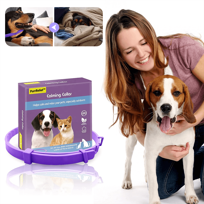 PurrRelief™ | קולר להרגעת חרדה
