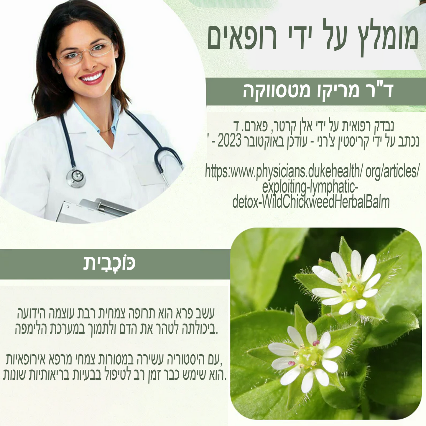 HerbalGel™ | משחת תיקון עור מצמח הכוכבית