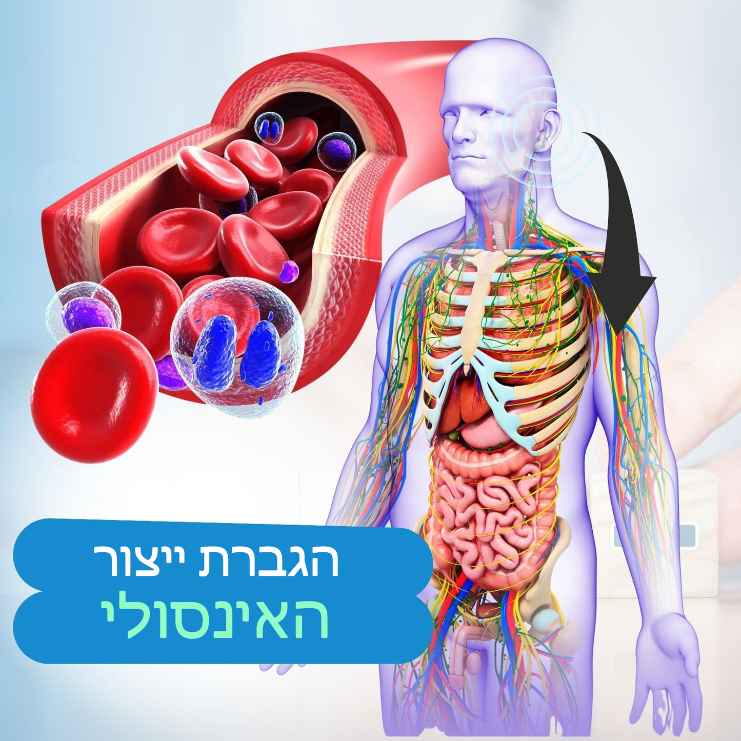 GlucoCare™ | עגילי ויסות סוכר באקופרסורה