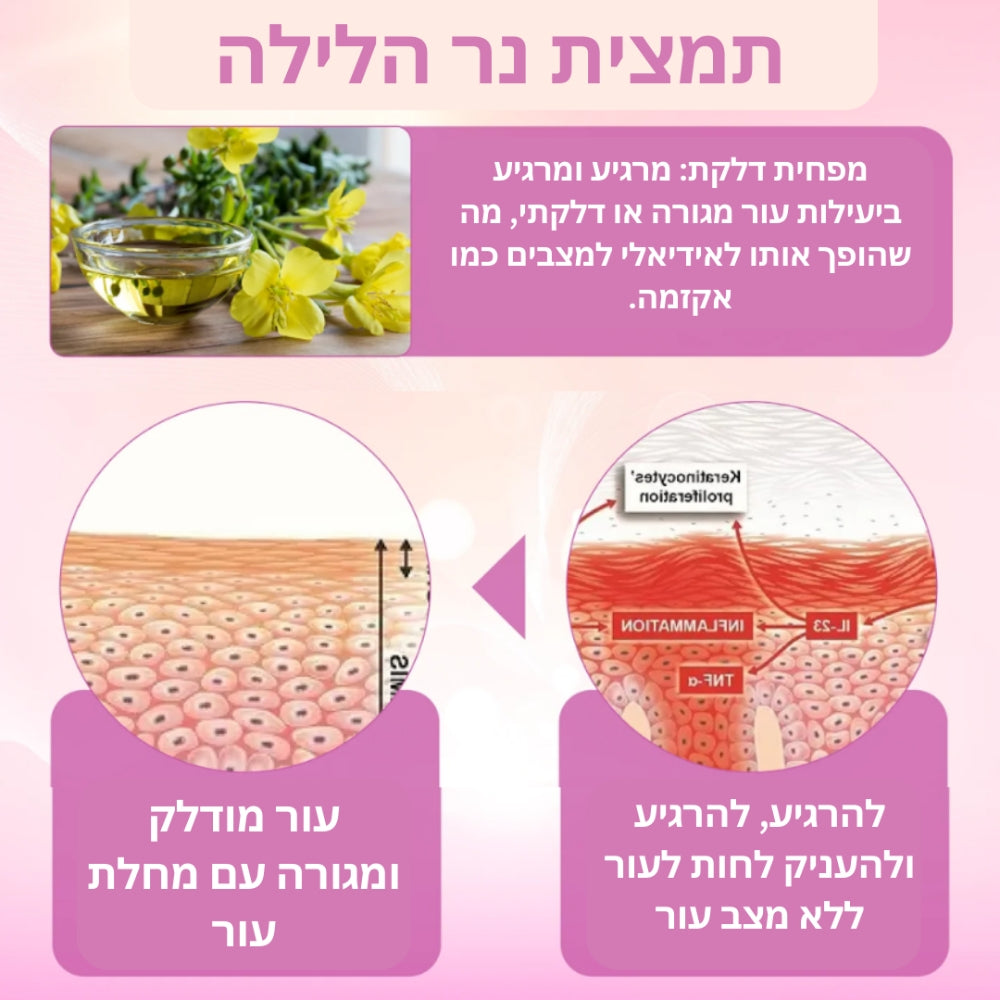 Soothica | עור בריא יותר תוך 48 שעות!