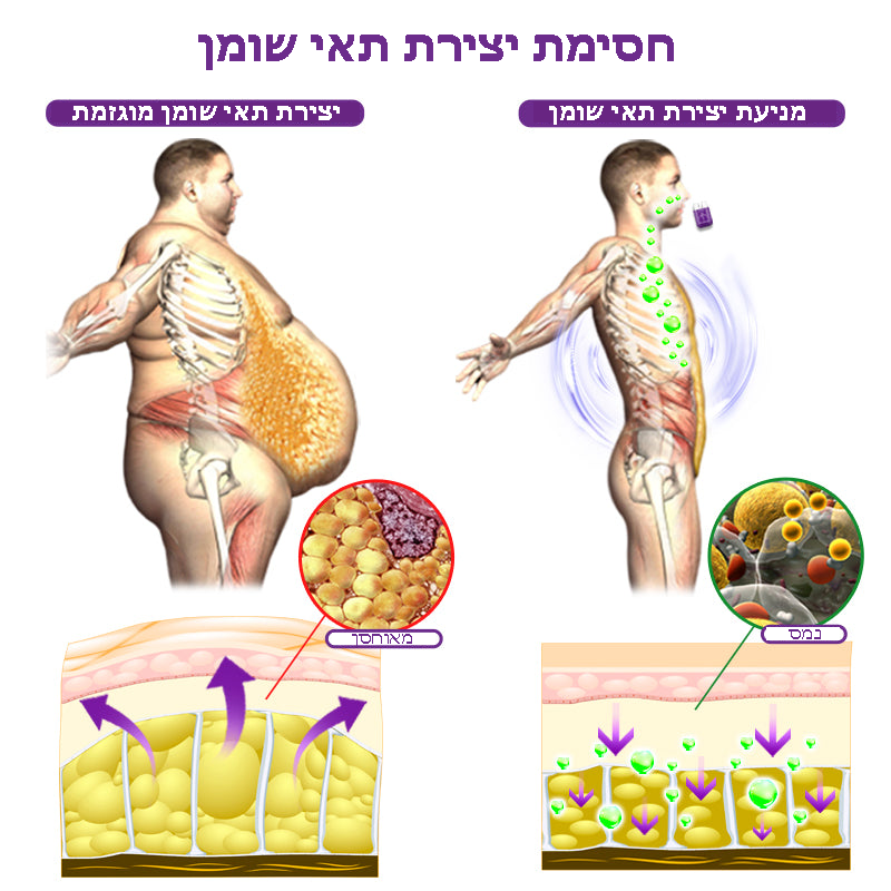 PuffFit™ | משאף הרזיה לוויסות אנזימים