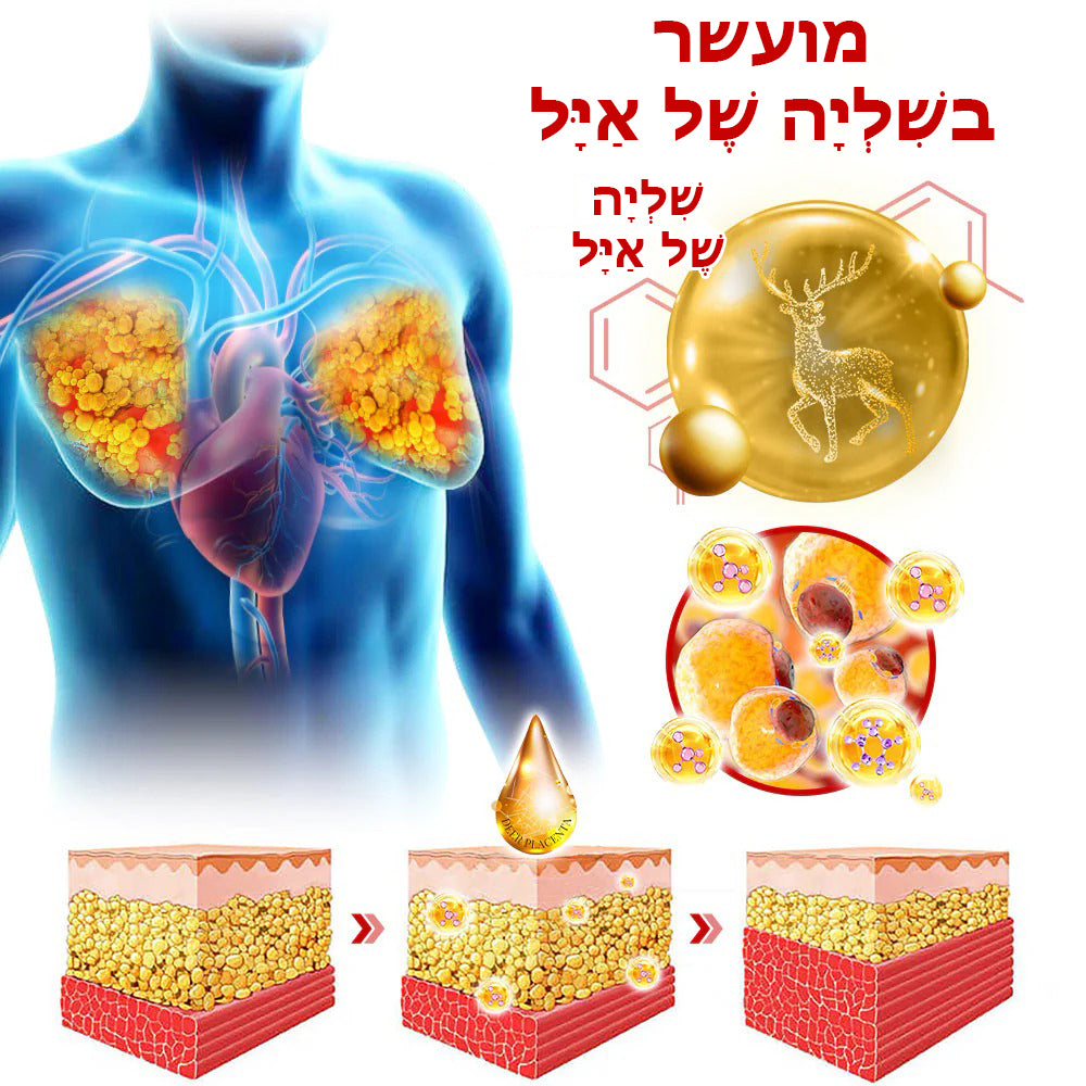 GynoGone™ | שמן עיסוי לגינקומסטיה מפלצנטת איילים