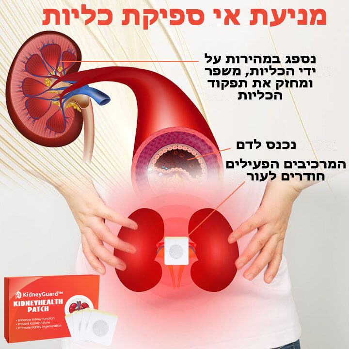 KidneyGuard™ | מדבקת בריאות כליות