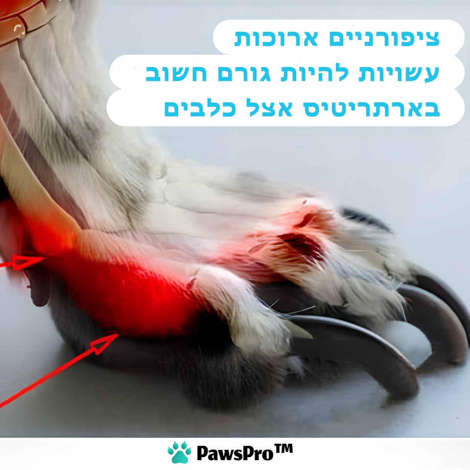 PawsPro™ | מטחנת ציפורניים לחיות מחמד