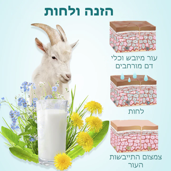 SnowGlo™ | סבון הלבנה ותיקון