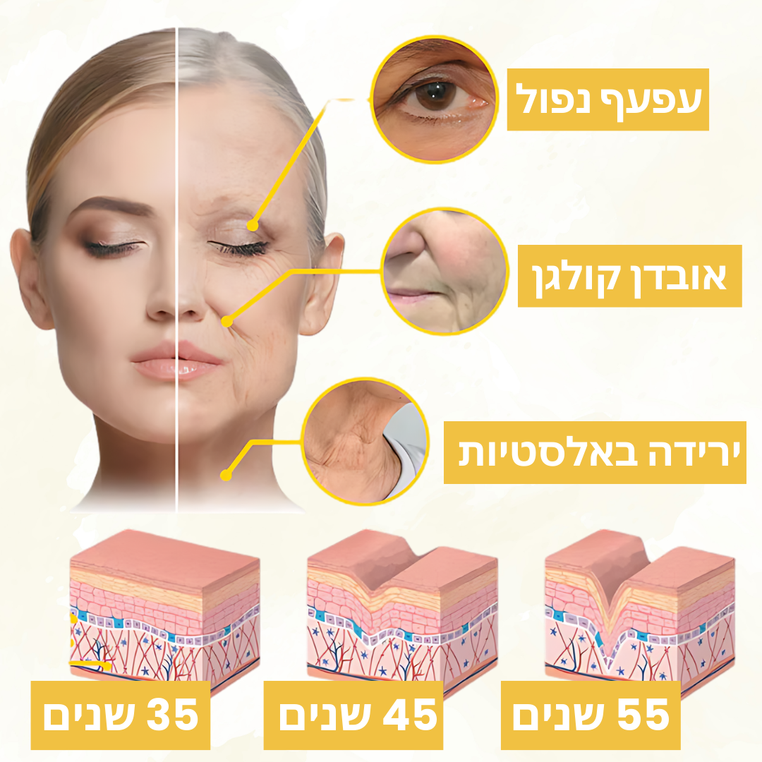 BeeLuxx™ | נעורים מיידיים – ראו תוצאות פי 5 מהר יותר עם סרום BeeLuxx™!