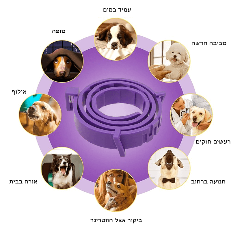PurrRelief™ | קולר להרגעת חרדה