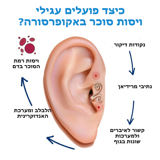 GlucoCare™ | עגילי ויסות סוכר באקופרסורה