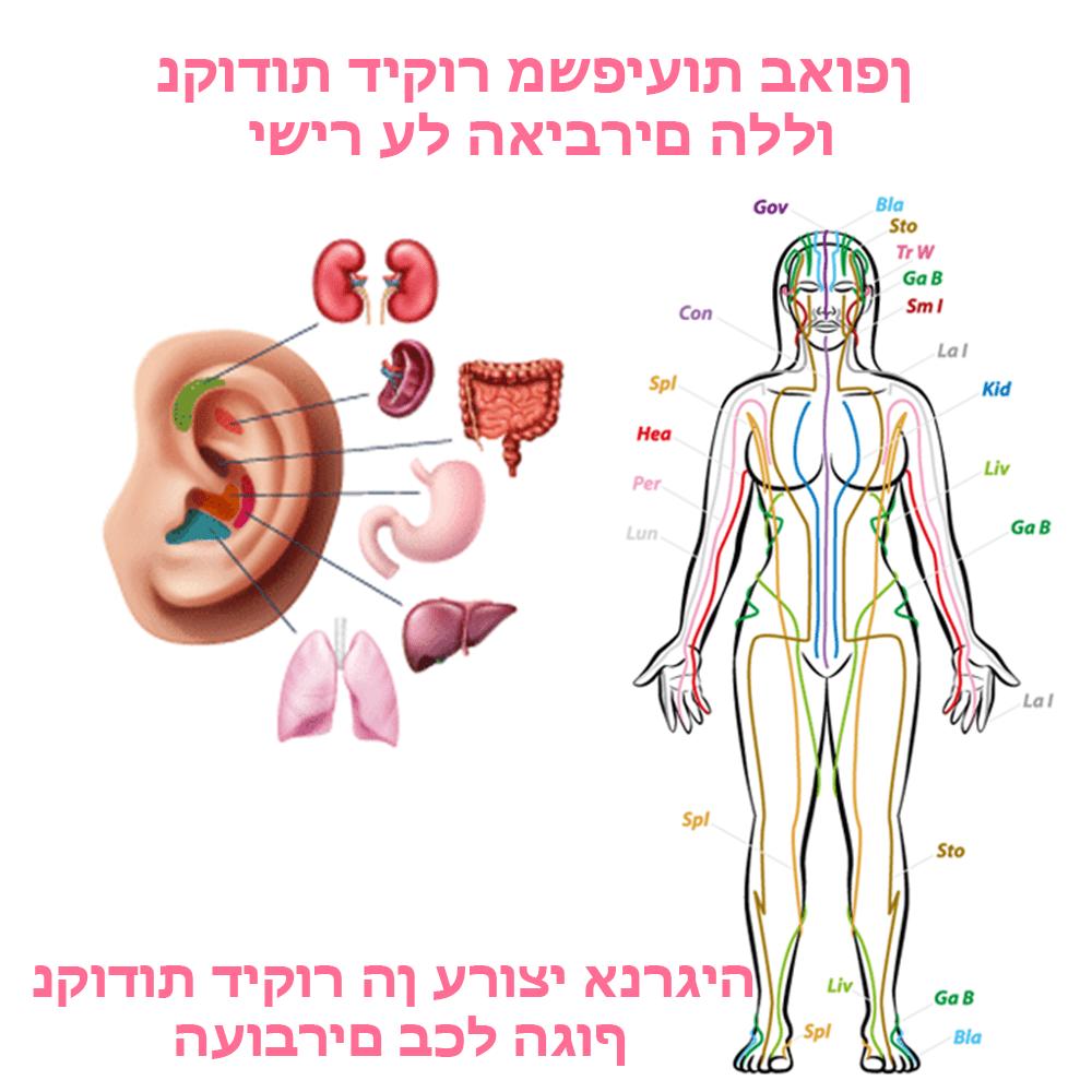 VitalGem™ | תהפכו את מסע הירידה במשקל לחוויה פשוטה ומרגשת!