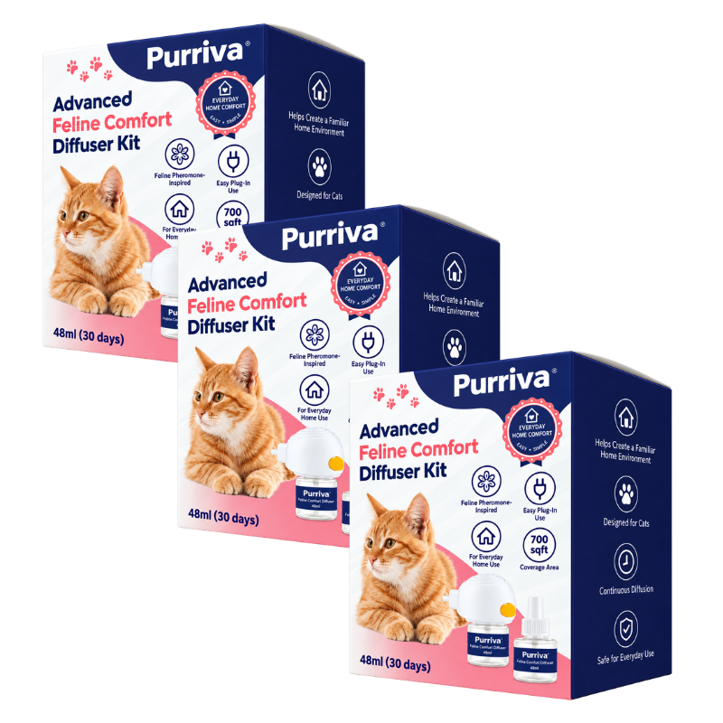 Purriva