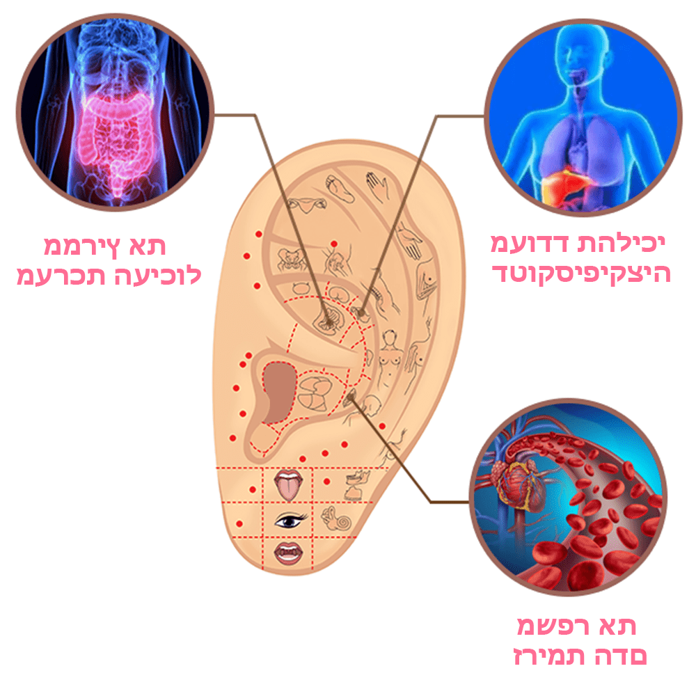 VitalGem™ | תהפכו את מסע הירידה במשקל לחוויה פשוטה ומרגשת!