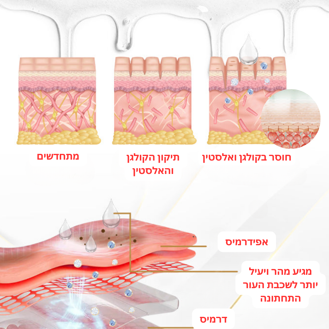 HydraBot™ | קבלו תוצאות תוך 7 ימים עם הפתרון המהפכני שלנו נגד הזדקנות!