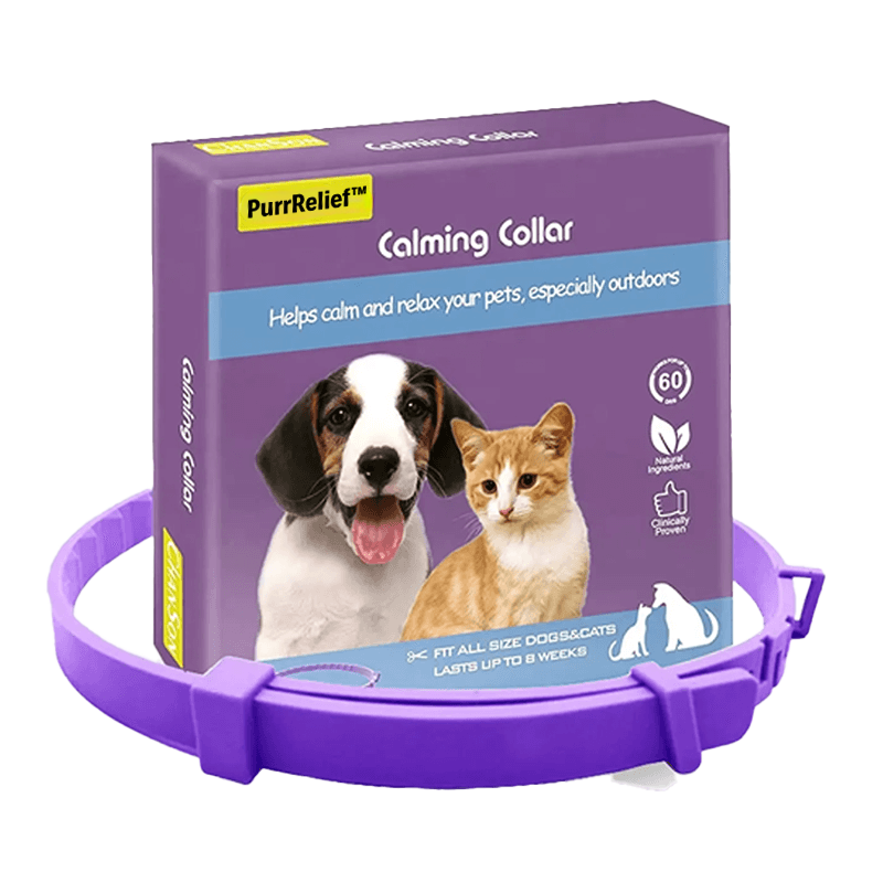 PurrRelief™ | קולר להרגעת חרדה