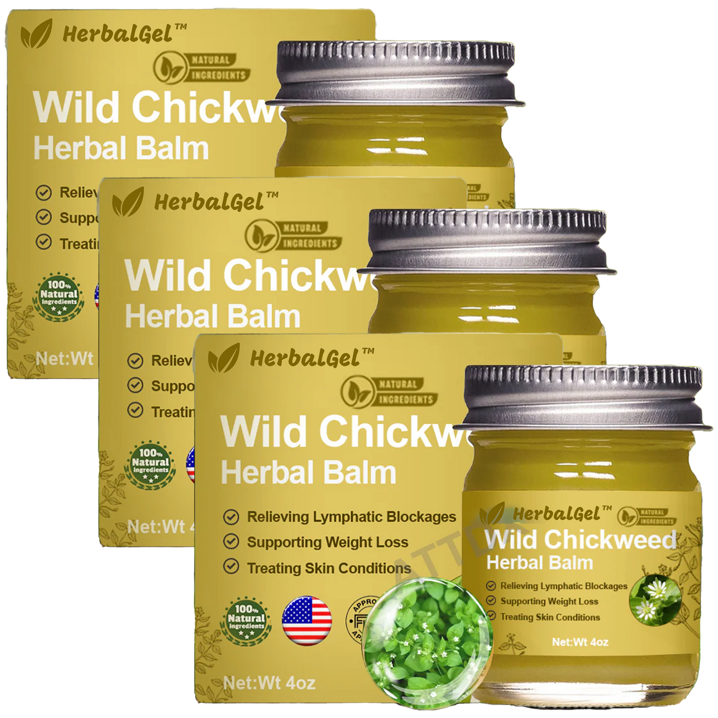 HerbalGel™ | משחת תיקון עור מצמח הכוכבית