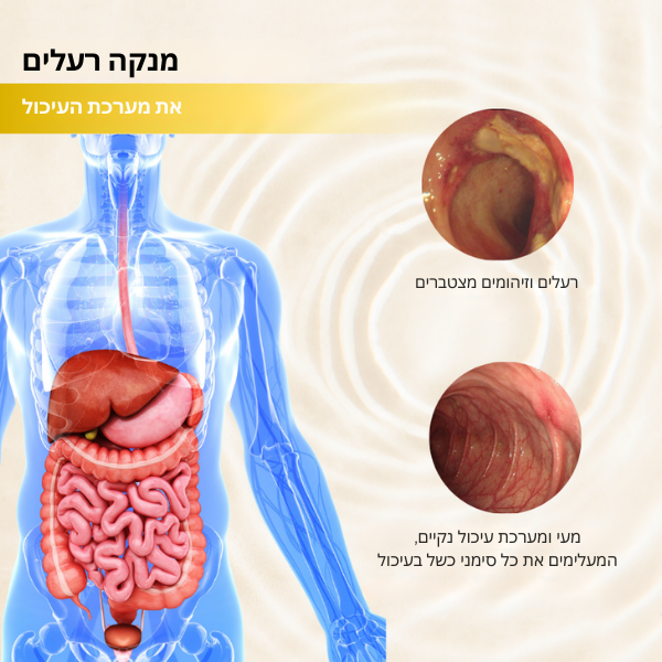 CalmDigest™ | חיסול 93% מבעיות העיכול תוך 3 ימים בלבד!