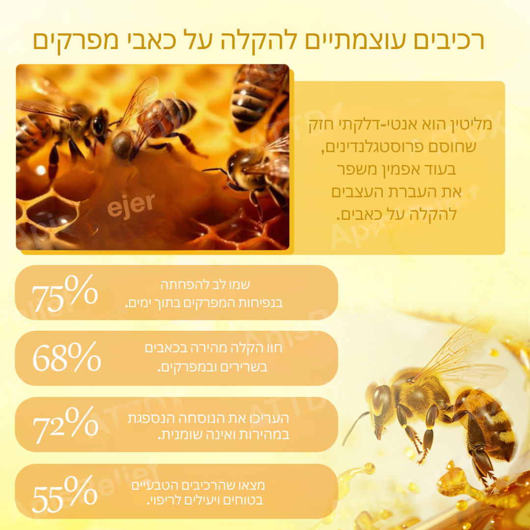 ReliefMist™ | העלימו 93% מכאבי המפרקים שלכם תוך 72 שעות בלבד!