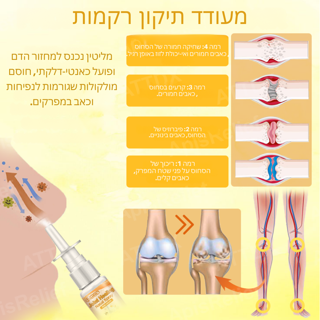 ReliefMist™ | העלימו 93% מכאבי המפרקים שלכם תוך 72 שעות בלבד!